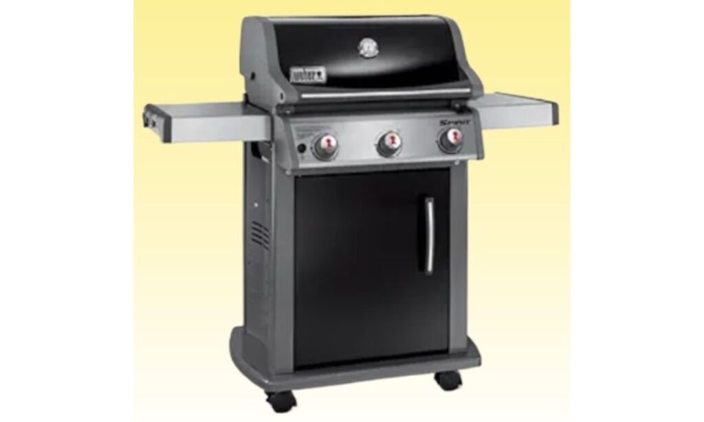 Weber Go Anywhere Gas Grill