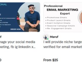 How to Build a Profitable Fiverr Profile